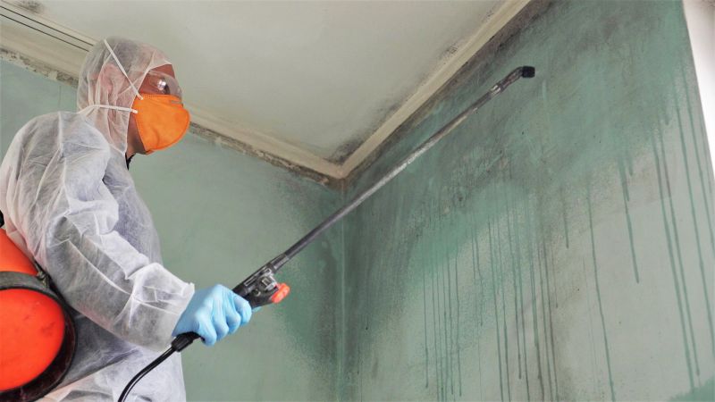 Mold Remediation Service detail